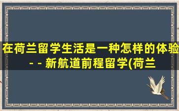 在荷兰留学生活是一种怎样的体验- - 新航道前程留学(荷兰 留学生)